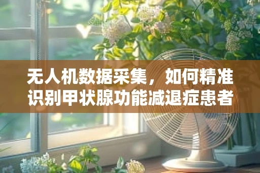 无人机数据采集，如何精准识别甲状腺功能减退症患者的飞行轨迹特征？