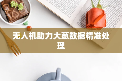 无人机助力大葱数据精准处理