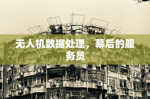 无人机数据处理，幕后的服务员