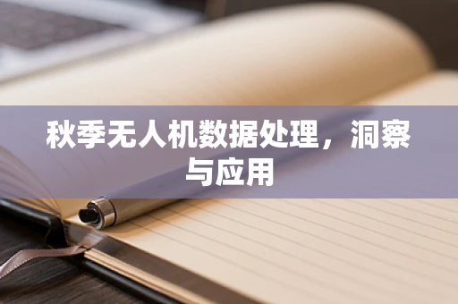 秋季无人机数据处理，洞察与应用