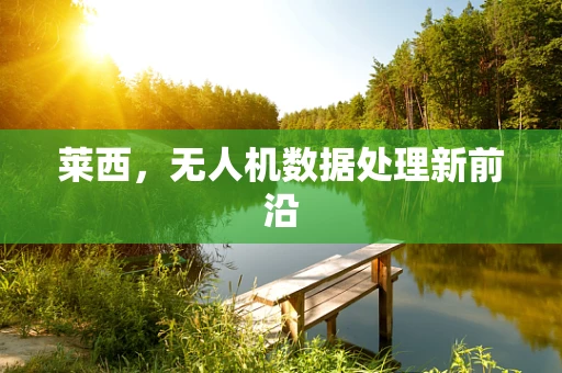 莱西，无人机数据处理新前沿