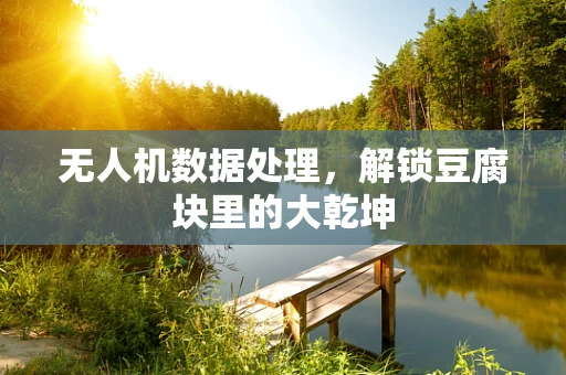 无人机数据处理，解锁豆腐块里的大乾坤