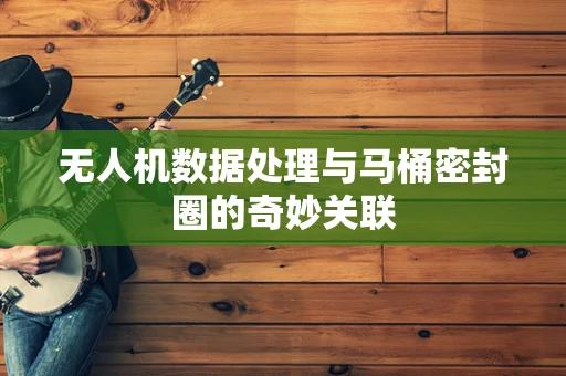 无人机数据处理与马桶密封圈的奇妙关联