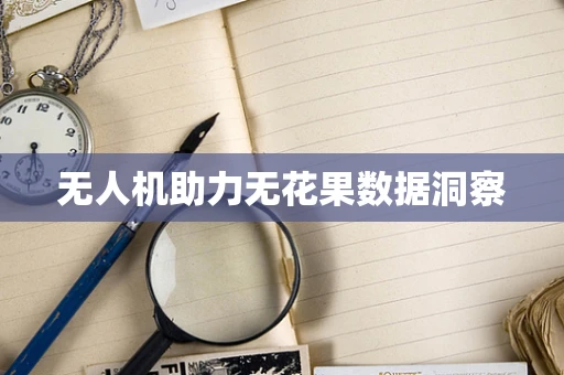 无人机助力无花果数据洞察
