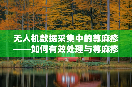 无人机数据采集中的荨麻疹——如何有效处理与荨麻疹相关的隐私保护问题？