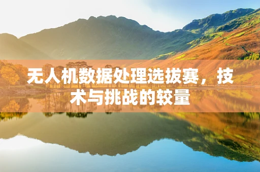 无人机数据处理选拔赛，技术与挑战的较量