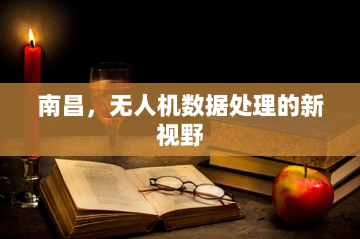 南昌，无人机数据处理的新视野
