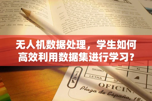 无人机数据处理，学生如何高效利用数据集进行学习？