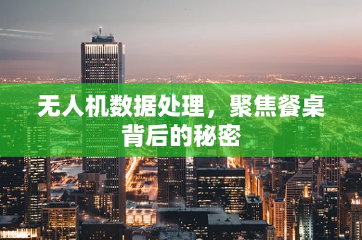 无人机数据处理，聚焦餐桌背后的秘密