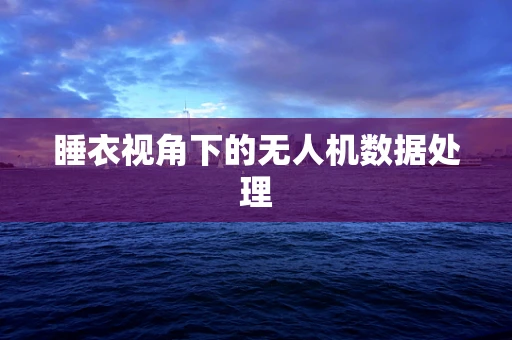 睡衣视角下的无人机数据处理