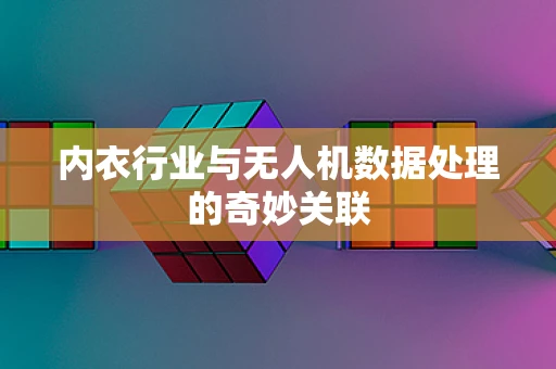 内衣行业与无人机数据处理的奇妙关联