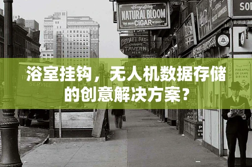 浴室挂钩，无人机数据存储的创意解决方案？