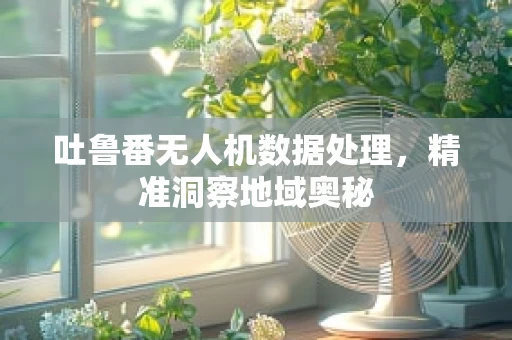 吐鲁番无人机数据处理，精准洞察地域奥秘