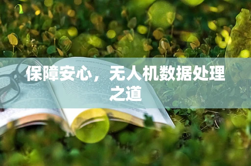 保障安心，无人机数据处理之道