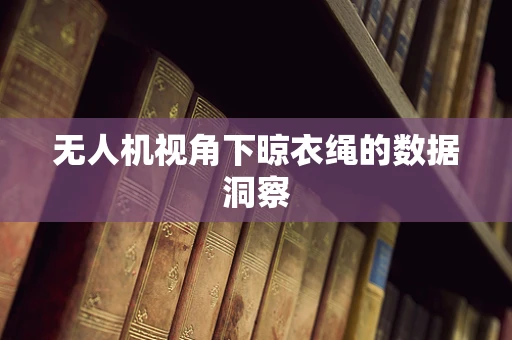 无人机视角下晾衣绳的数据洞察