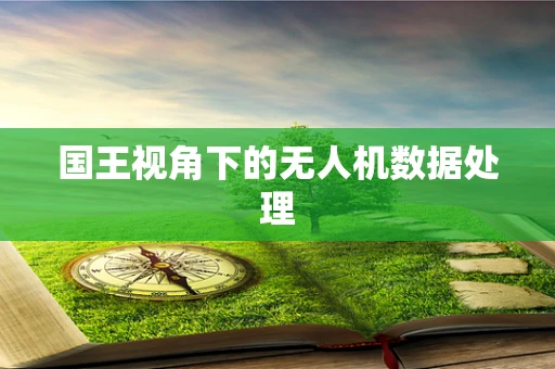 国王视角下的无人机数据处理