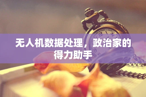 无人机数据处理，政治家的得力助手