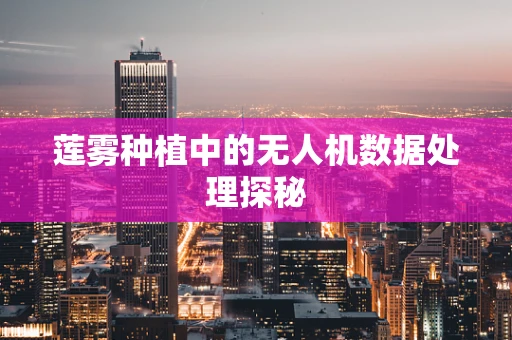 莲雾种植中的无人机数据处理探秘