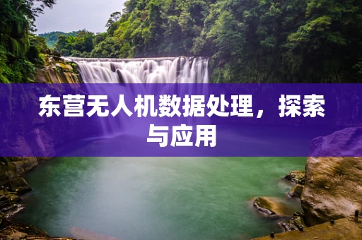 东营无人机数据处理，探索与应用