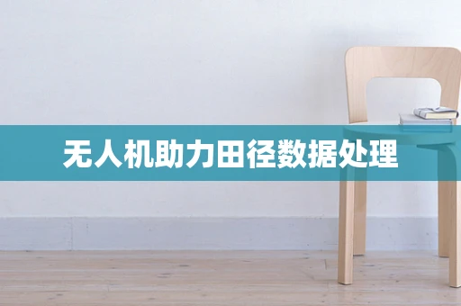 无人机助力田径数据处理