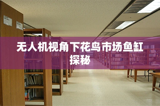 无人机视角下花鸟市场鱼缸探秘
