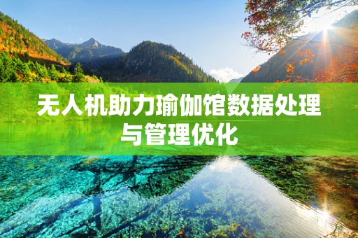 无人机助力瑜伽馆数据处理与管理优化
