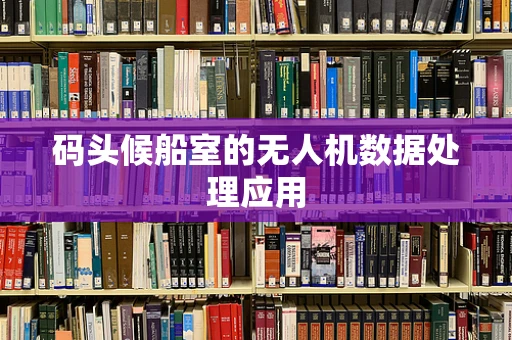 码头候船室的无人机数据处理应用