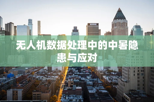 无人机数据处理中的中暑隐患与应对