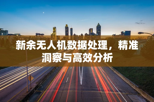 新余无人机数据处理，精准洞察与高效分析