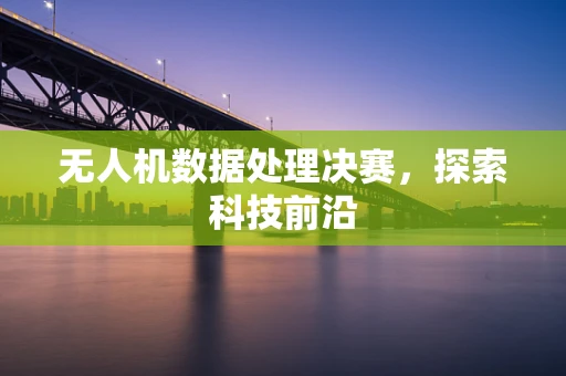 无人机数据处理决赛，探索科技前沿