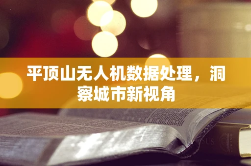 平顶山无人机数据处理，洞察城市新视角