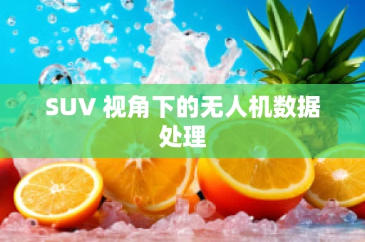 SUV 视角下的无人机数据处理