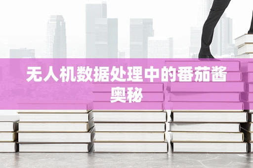 无人机数据处理中的番茄酱奥秘
