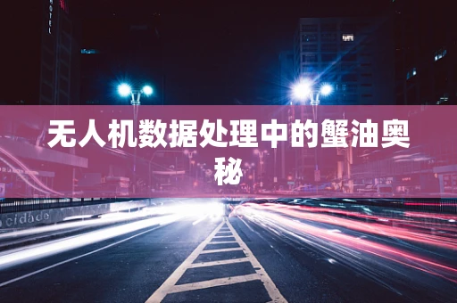 无人机数据处理中的蟹油奥秘