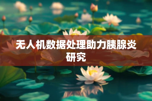 无人机数据处理助力胰腺炎研究