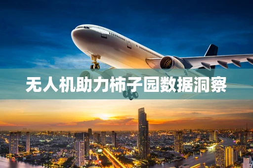 无人机助力柿子园数据洞察