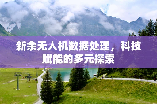新余无人机数据处理，科技赋能的多元探索