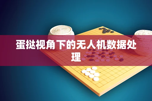 蛋挞视角下的无人机数据处理