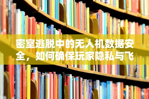 密室逃脱中的无人机数据安全，如何确保玩家隐私与飞行安全？