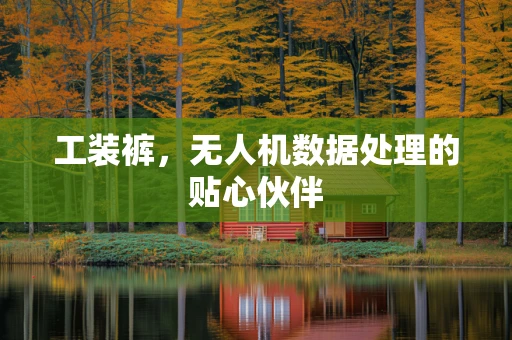 工装裤，无人机数据处理的贴心伙伴