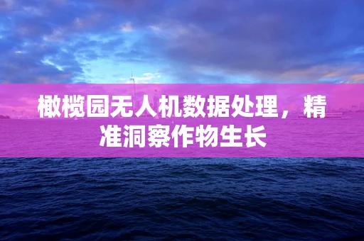 橄榄园无人机数据处理，精准洞察作物生长