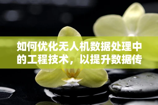 如何优化无人机数据处理中的工程技术，以提升数据传输效率与精度？