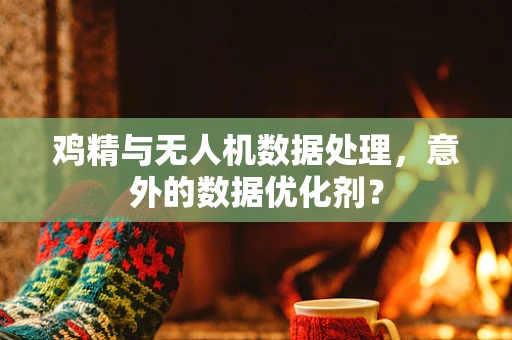 鸡精与无人机数据处理，意外的数据优化剂？