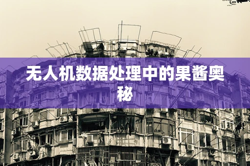 无人机数据处理中的果酱奥秘