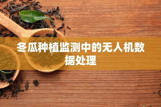 冬瓜种植监测中的无人机数据处理