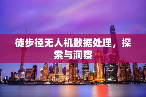 徒步径无人机数据处理，探索与洞察