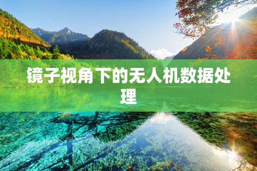 镜子视角下的无人机数据处理