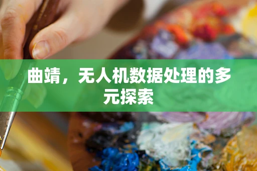 曲靖，无人机数据处理的多元探索