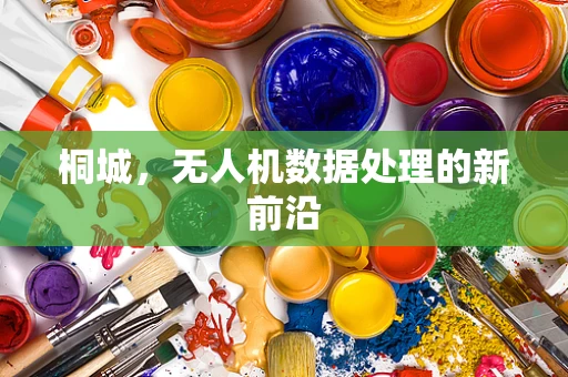 桐城，无人机数据处理的新前沿