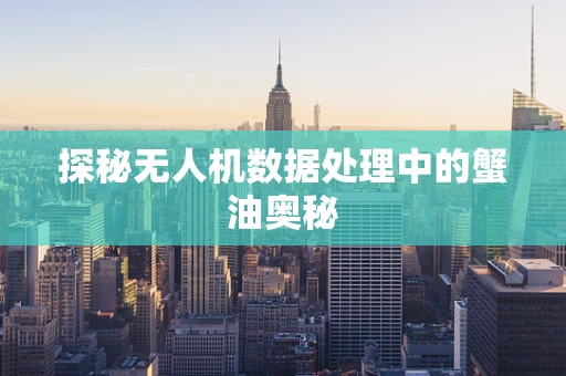 探秘无人机数据处理中的蟹油奥秘